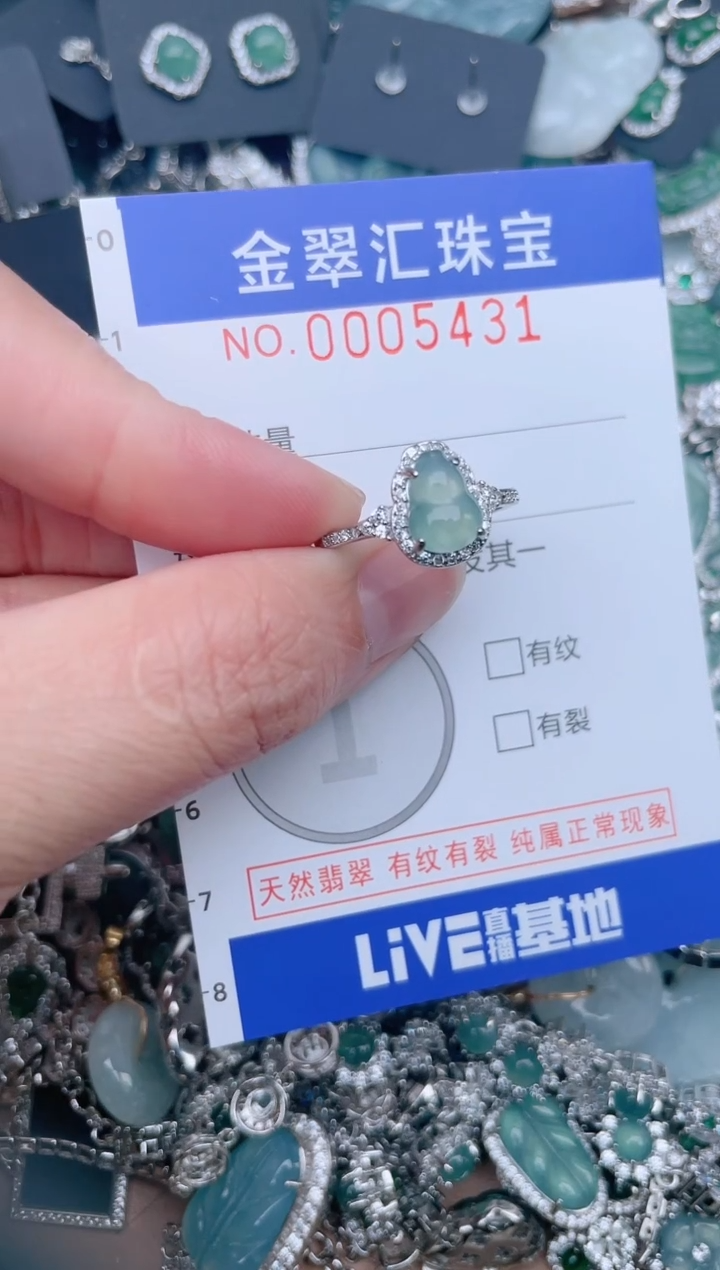 【闪购商品】翡翠颈饰未镶嵌5431........1