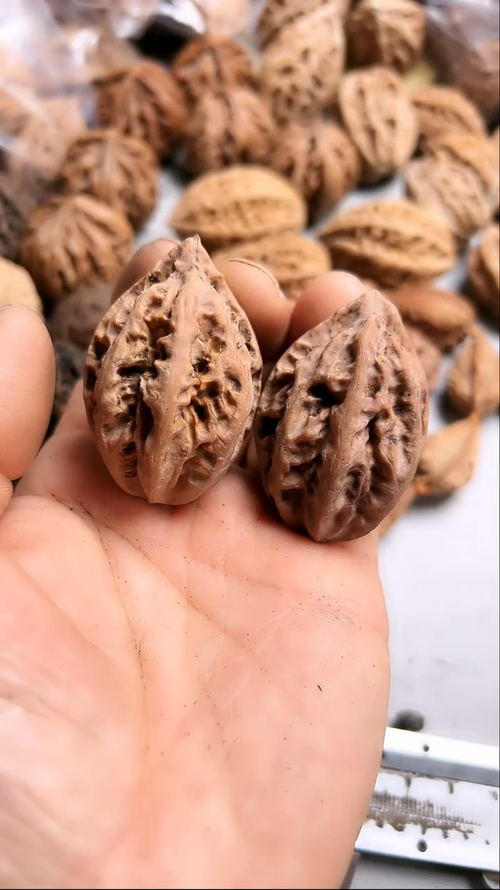 核桃东北野生大秋子5