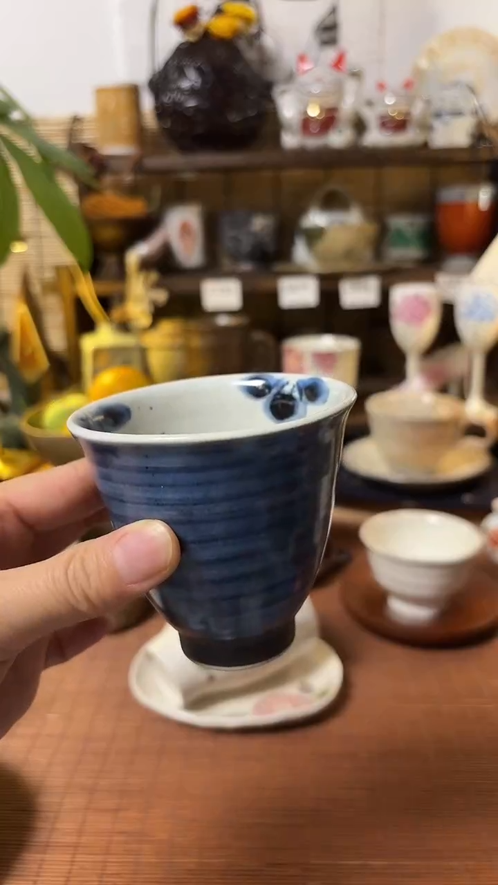 瓷片喵喵家都是大漂亮