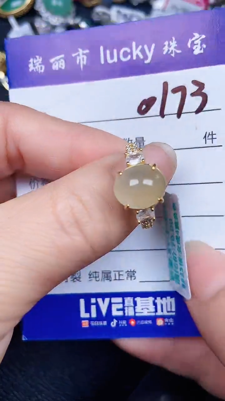 颈饰银S925镶嵌翡翠0173