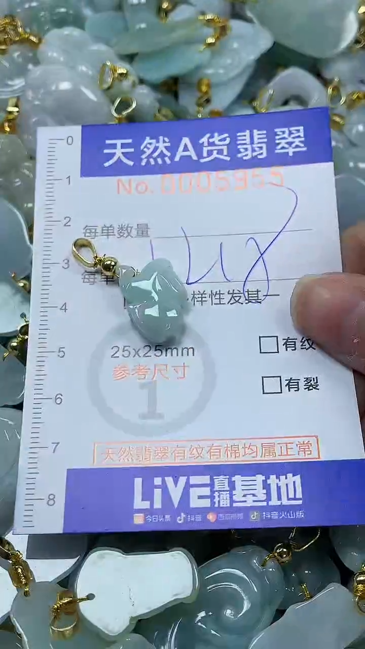 颈饰未镶嵌翡翠纯天然a货翡翠