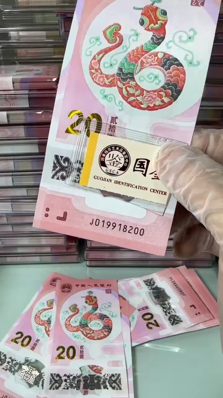 【闪购商品】塑料19918200-蛇钞单张！！