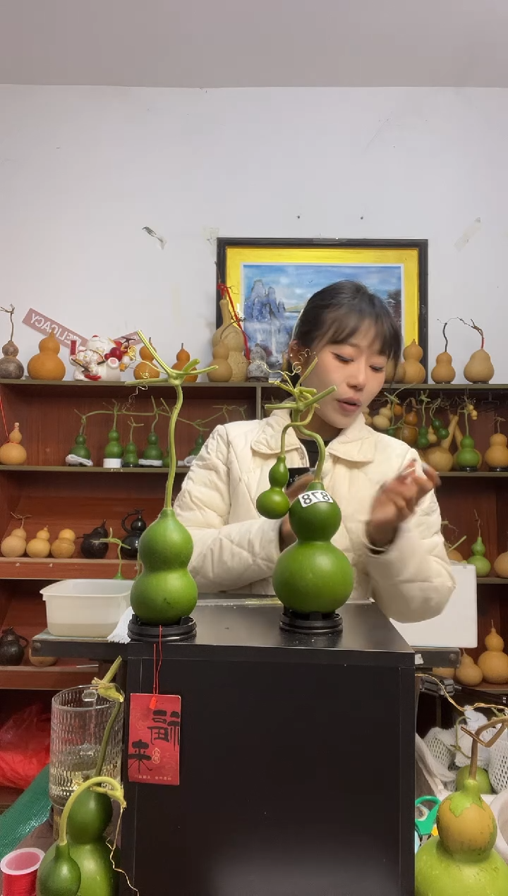 魏*陌878天然葫芦摆件 一物一拍龙头不保售后带一个