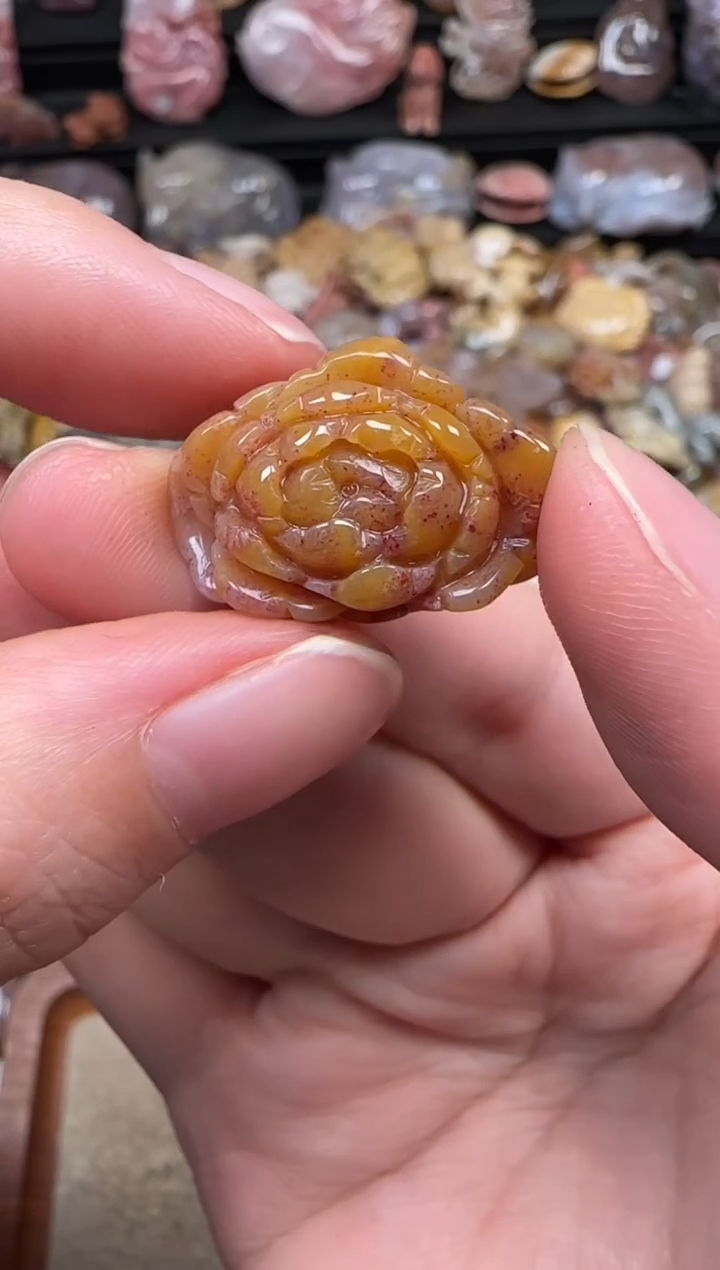 颈饰未镶嵌硅化珊瑚（珊瑚玉）670