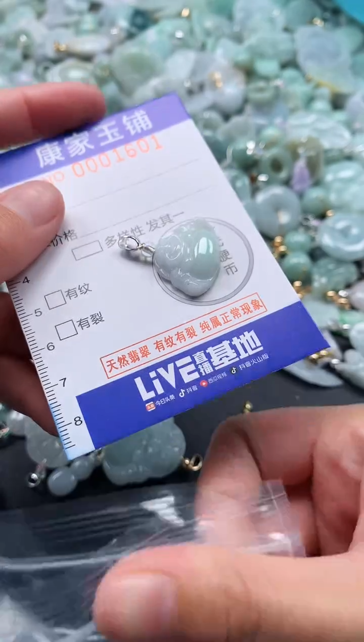 颈饰未镶嵌翡翠1601