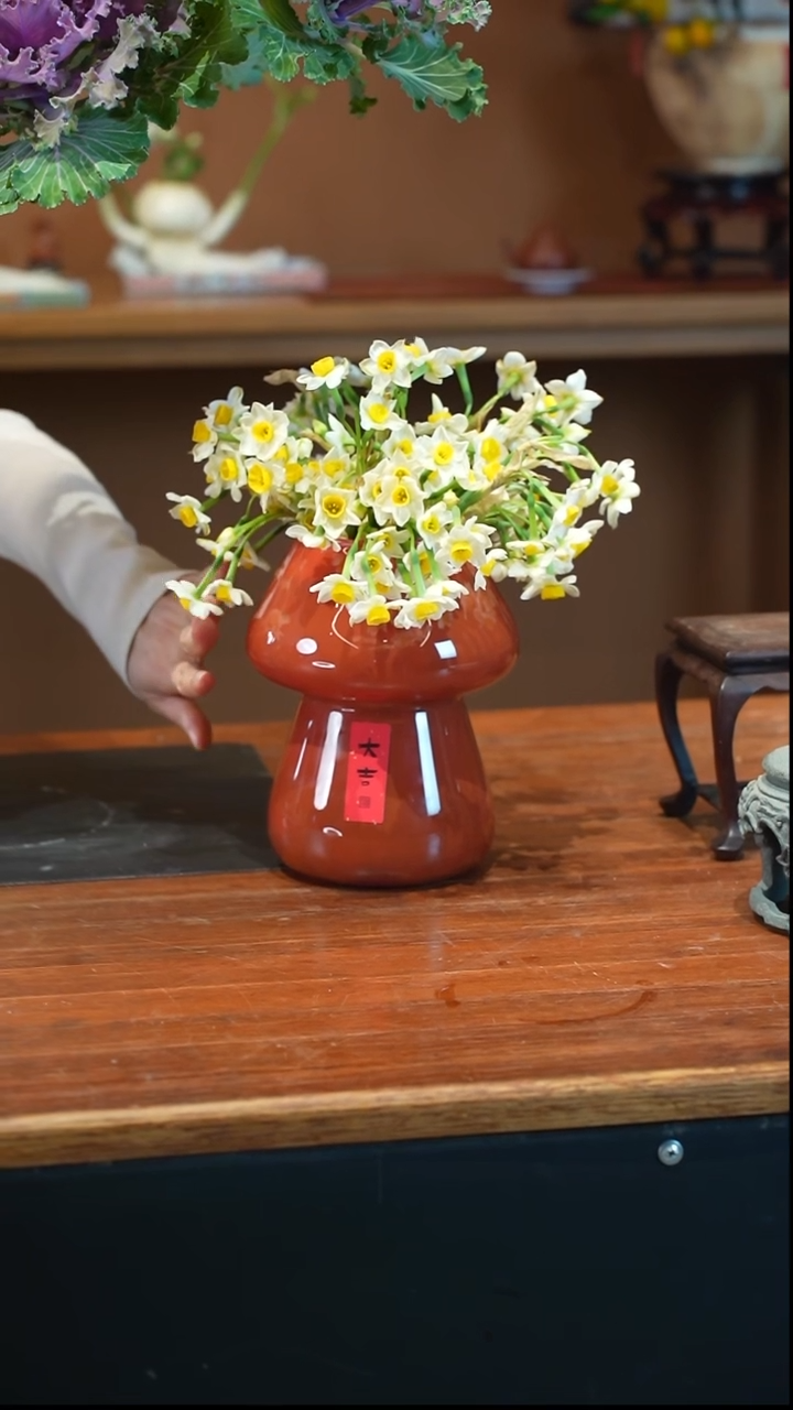 全部花朵水仙红盆盆景盆景