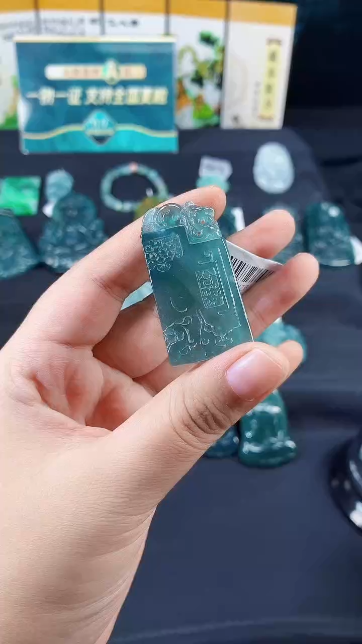 翡翠未镶嵌颈饰DLZ25080285