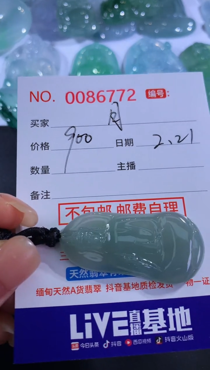 【闪购商品】翡翠颈饰未镶嵌月半