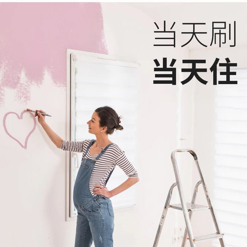都象【外墙漆】室外水泥墙毛坯墙乳胶漆墙面漆自刷防水防晒耐候涂料