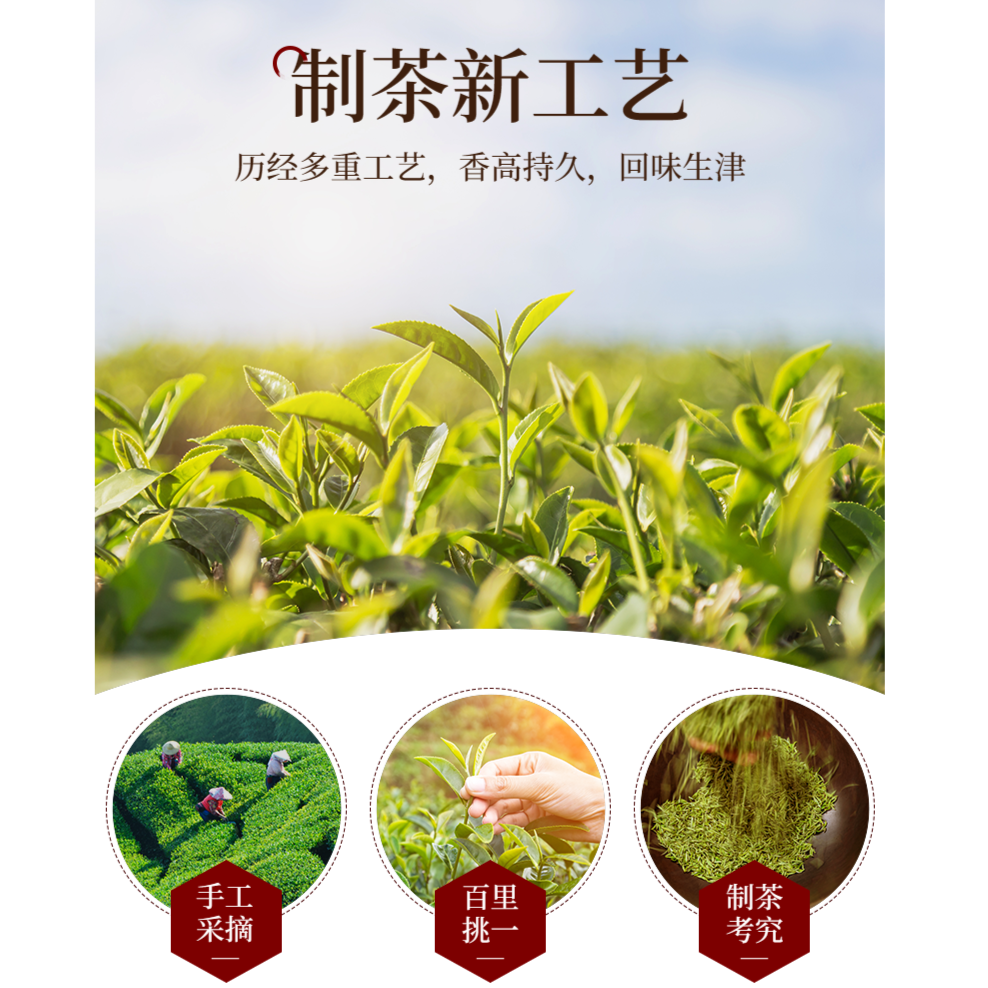 【霞姐】白茶78头采小芽头安吉白茶/原生态/ 临时链接