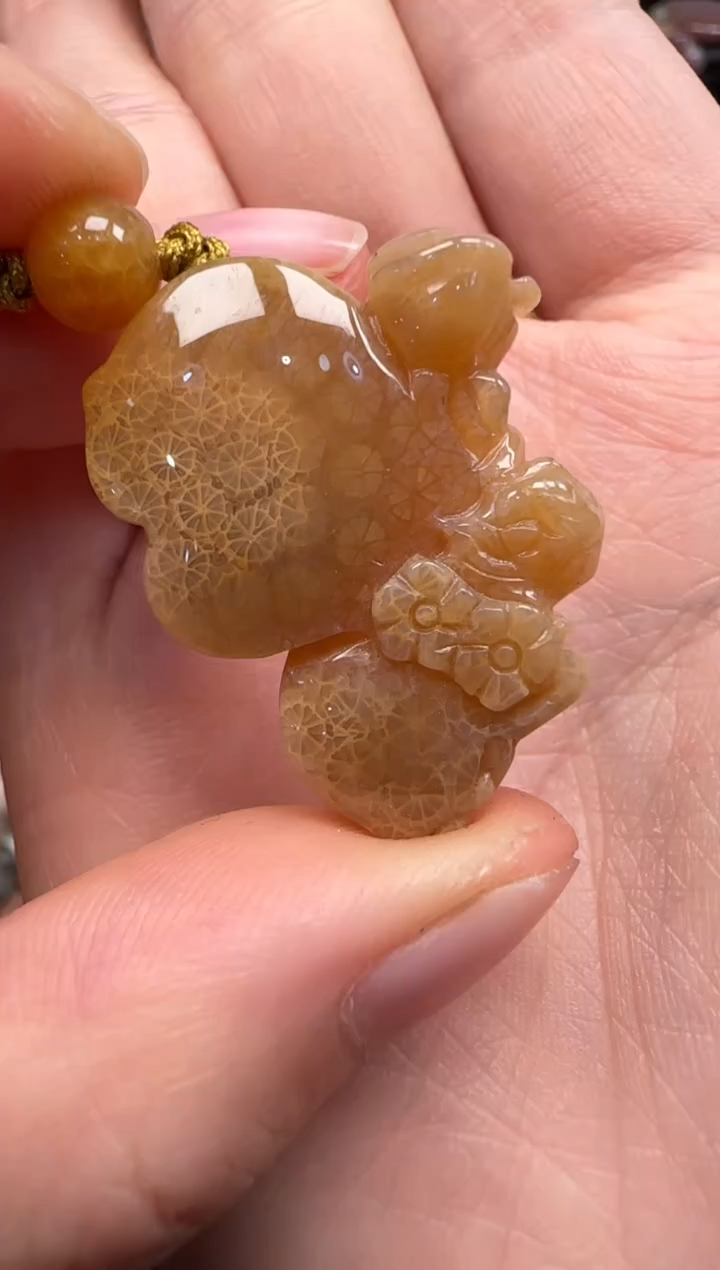 【闪购商品】硅化珊瑚（珊瑚玉）颈饰未镶嵌493