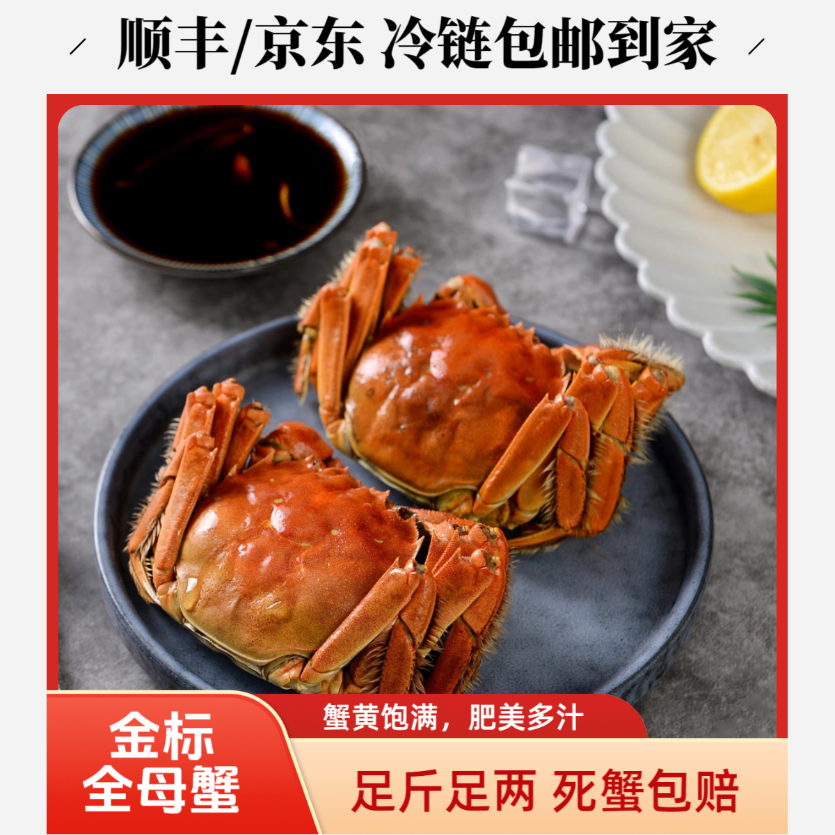 【活蟹现发】苏州精品大闸蟹 全母3.7-3.3两 10只礼盒装