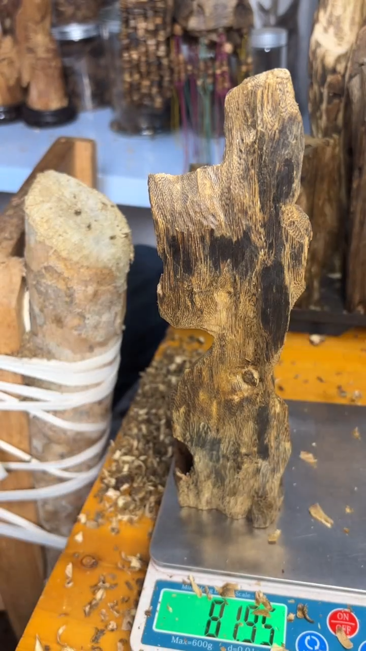 沉香沉香碎屑金沙叶品种81克