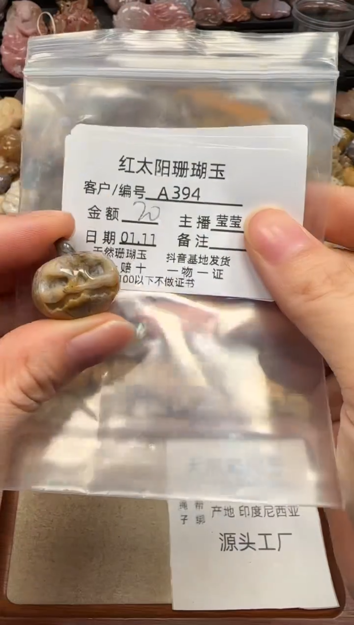 【闪购商品】硅化珊瑚（珊瑚玉）颈饰未镶嵌394