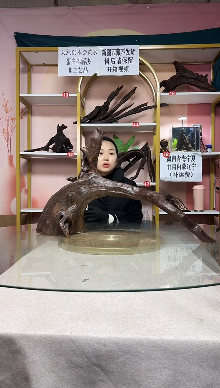 何*生山丘沉木一物一拍A106