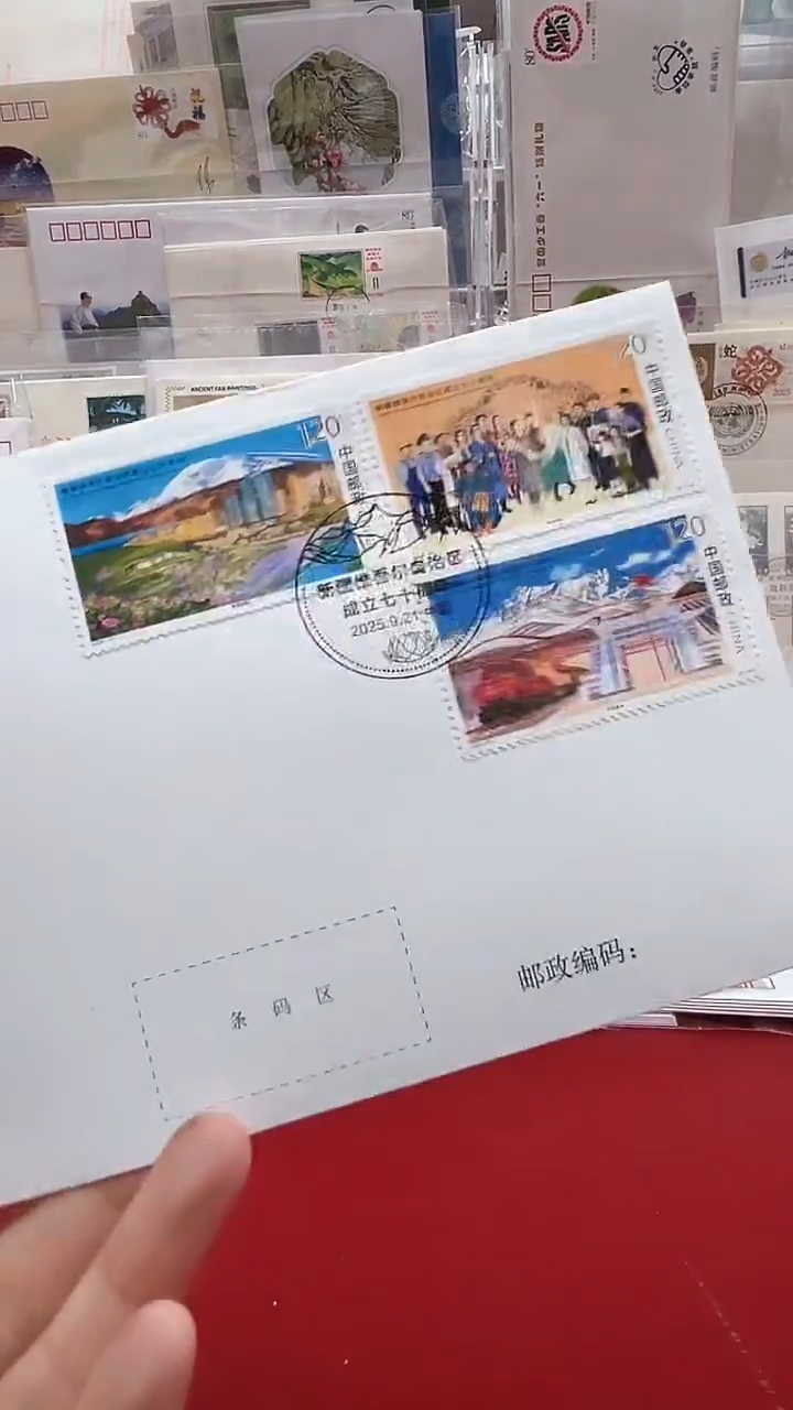 新疆成70-2025-20