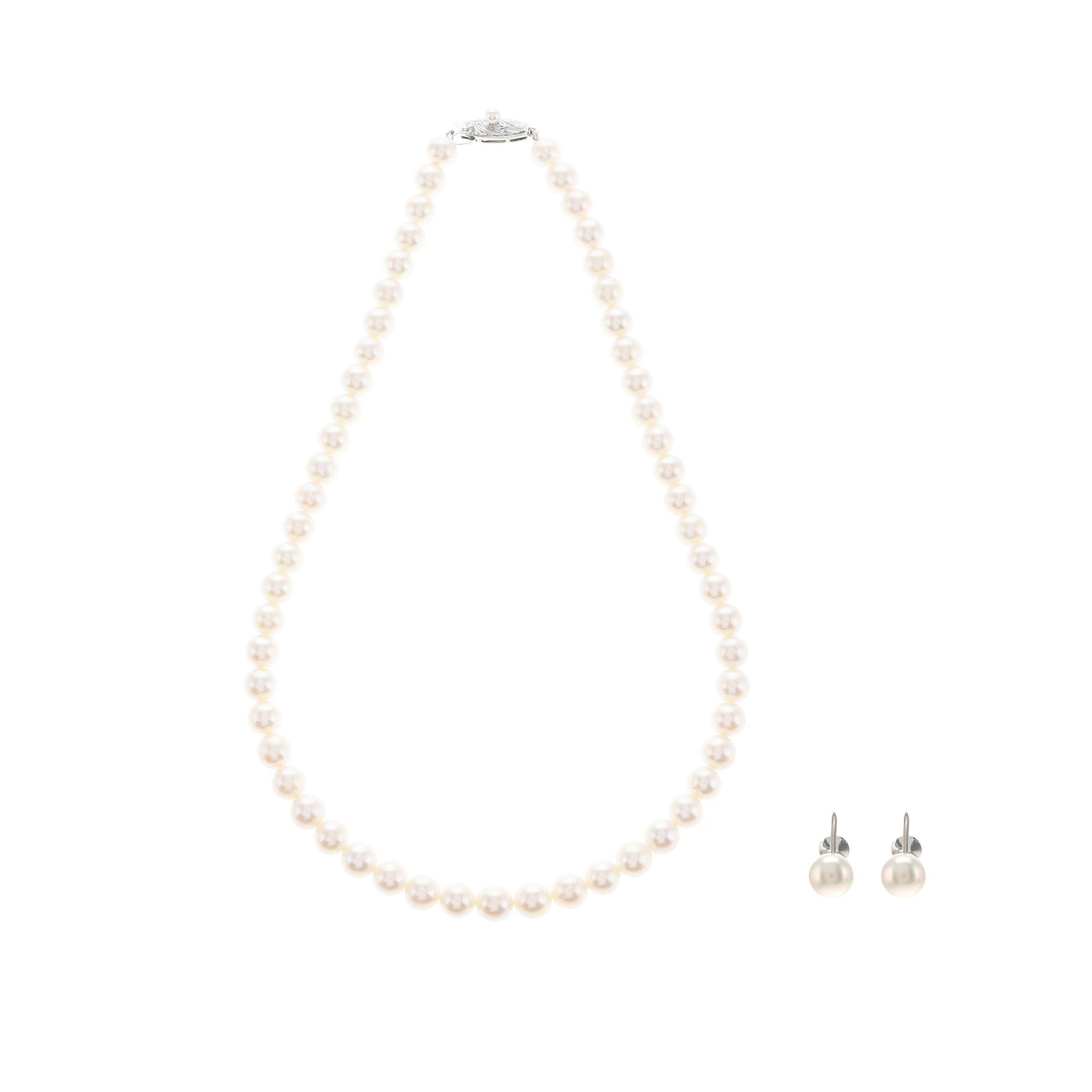 红布林/C1开箱/塔思琦/61927455/z/121285