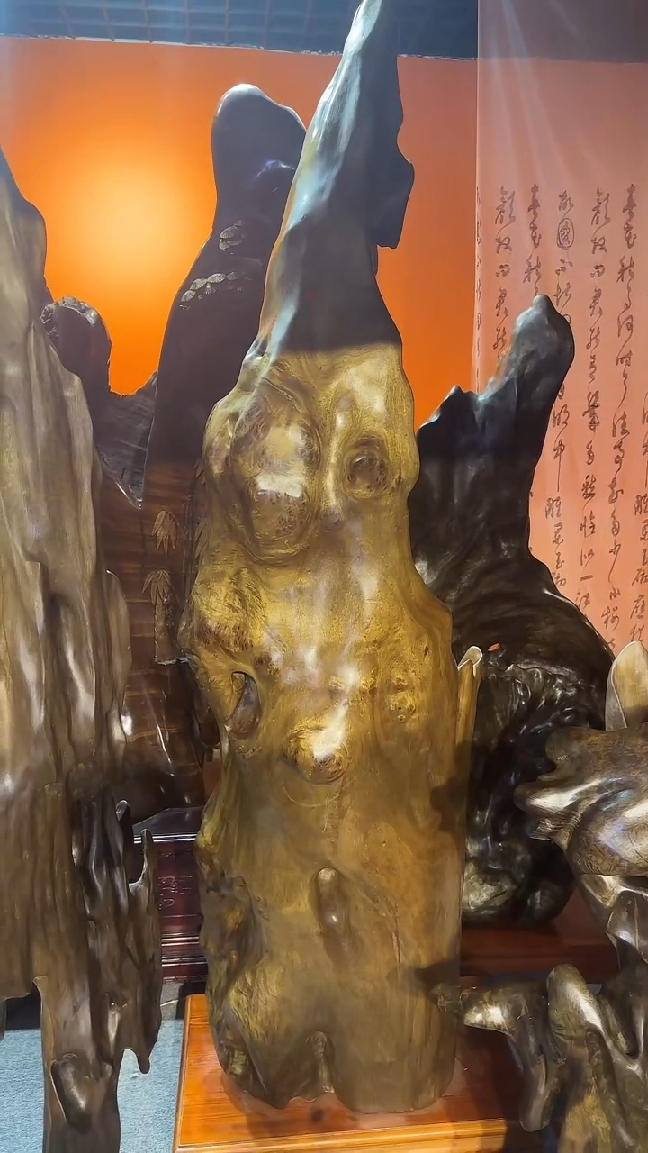 金丝楠网****》小叶桢楠金丝楠木