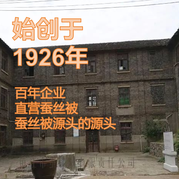 透气优质蚕丝四季通用被孤品