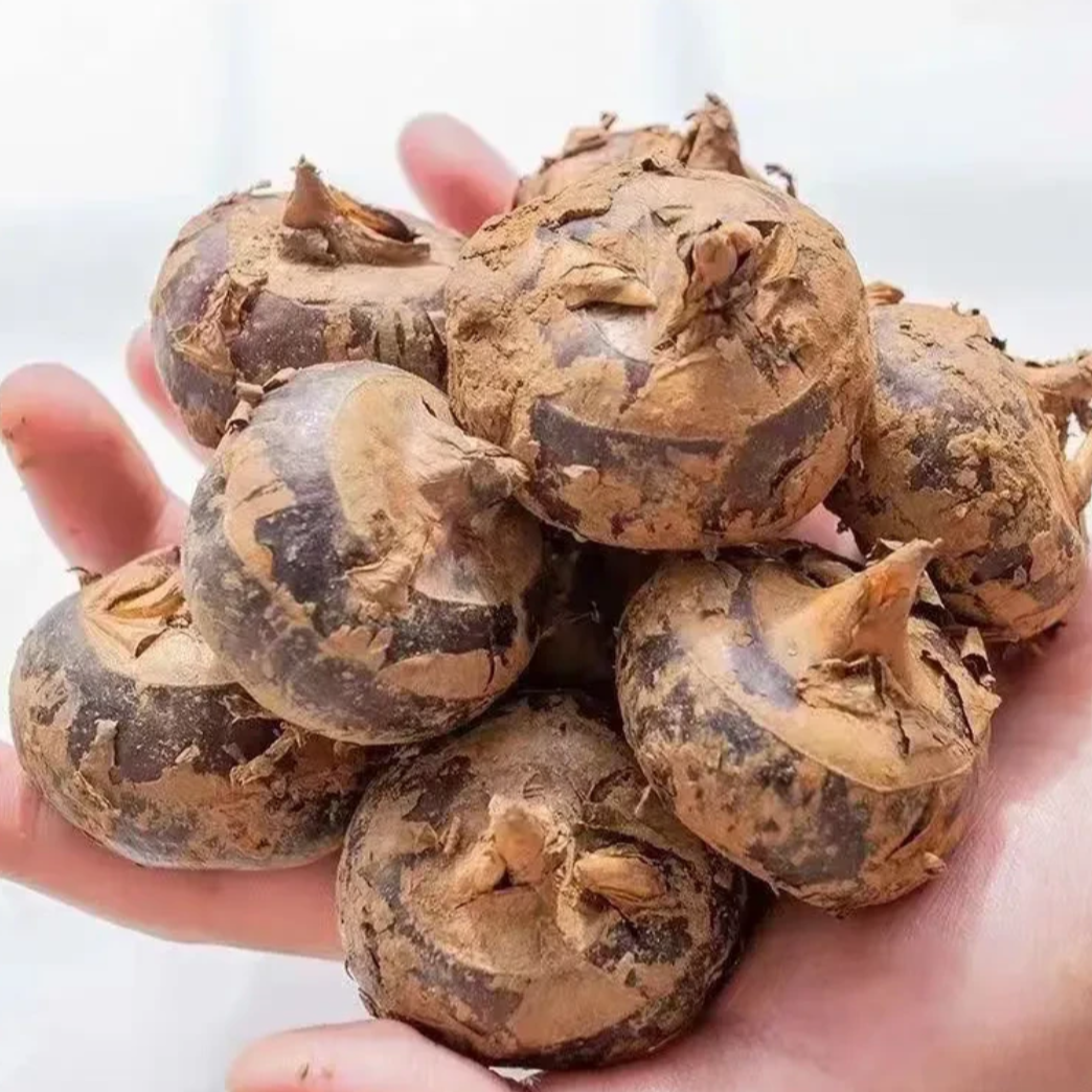 [当阳]精品新鲜马蹄脆嫩荸荠3斤/5斤装