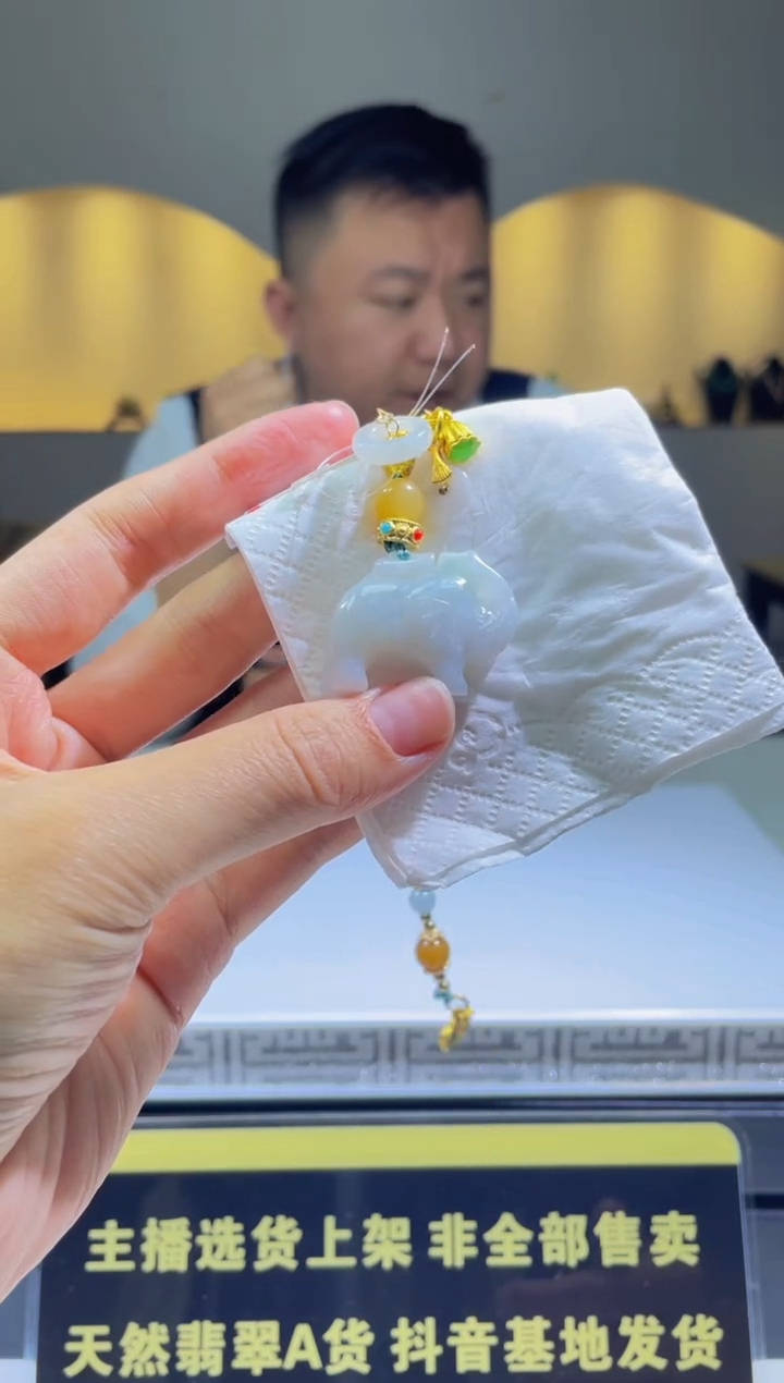 【闪购商品】翡翠颈饰未镶嵌天然A货翡翠