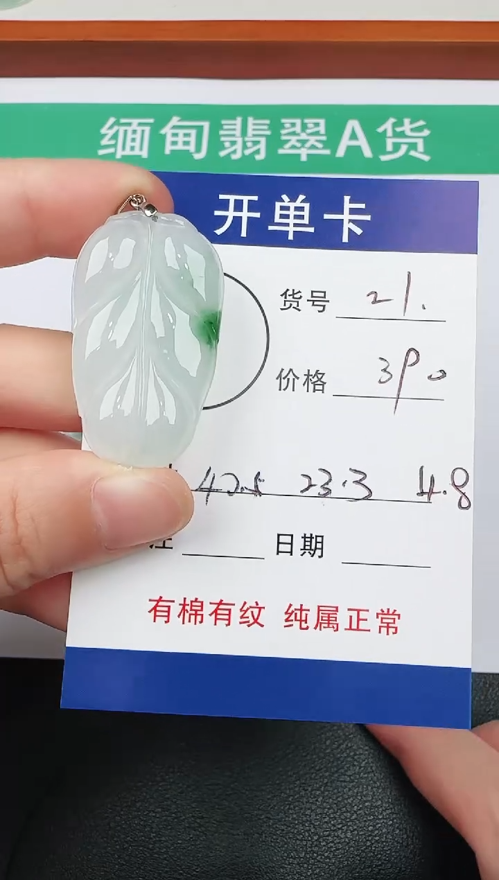 吊坠(赠链)未镶嵌翡翠21