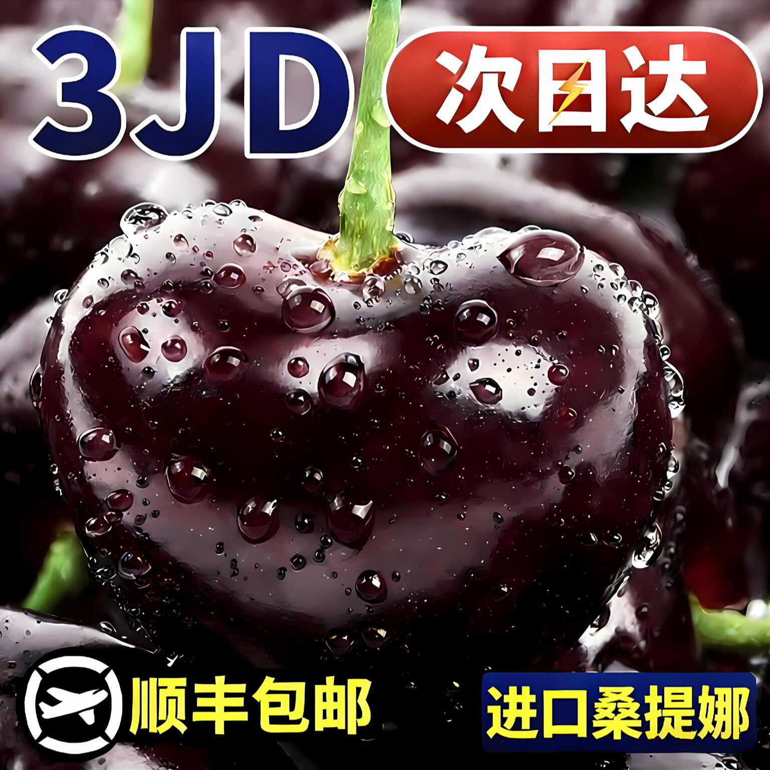 【顺丰明日到】3JD加大加黑果王智利空运桑提娜SANTINA车厘子新鲜头内附果径卡1.6斤桑提娜樱桃智利共和国
