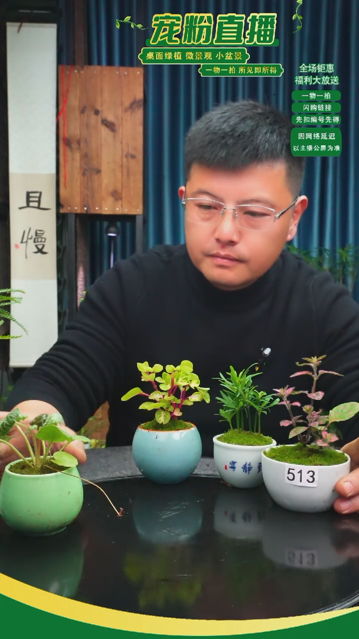 无花朵莹**我苔藓微景观513号