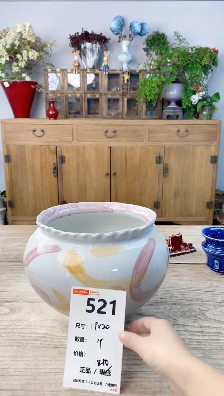 小玩子花盆直播号521