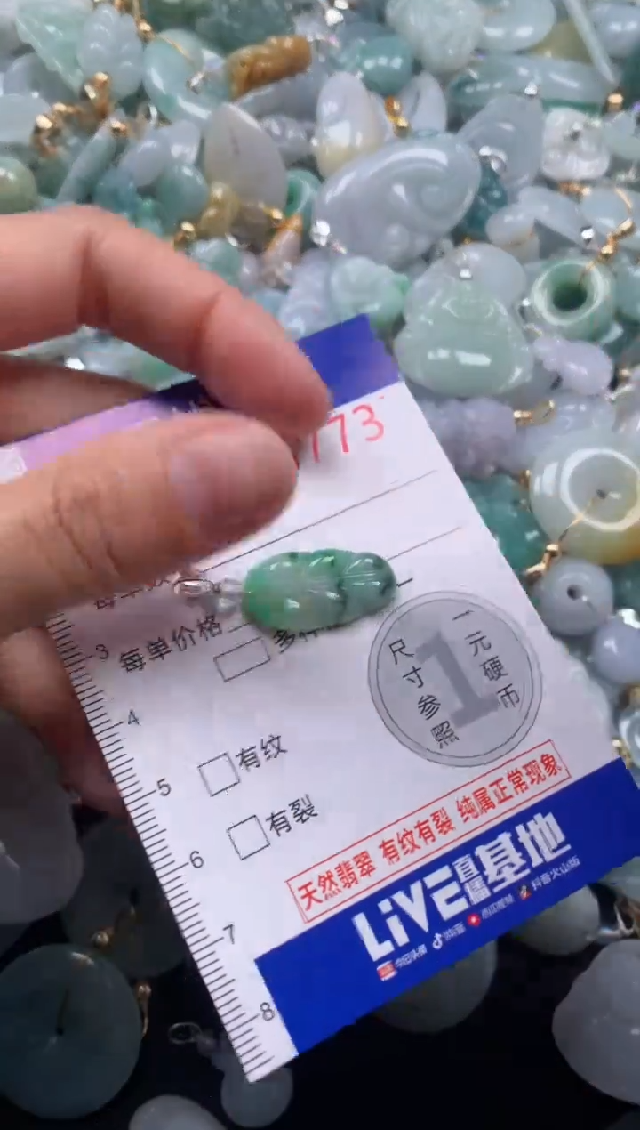 颈饰未镶嵌翡翠5773