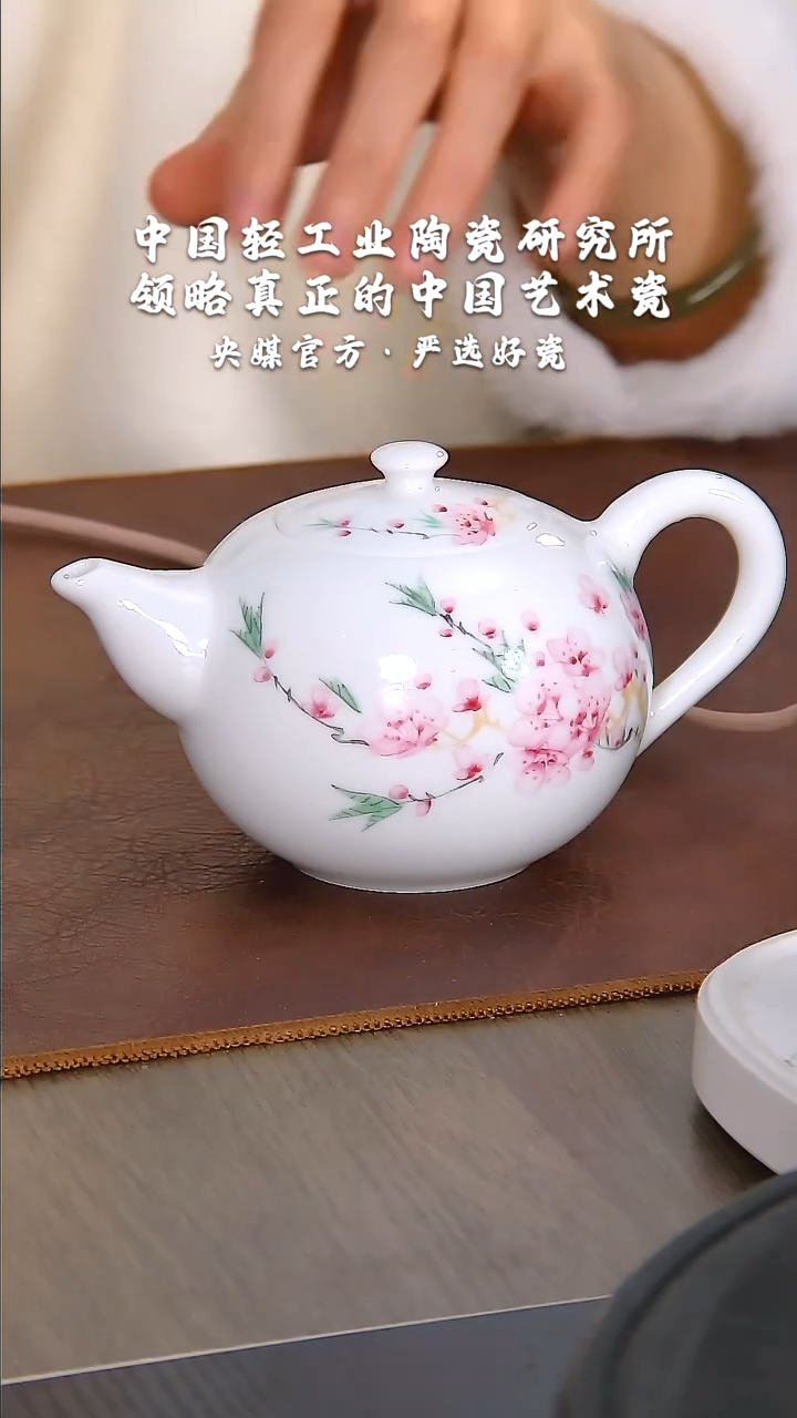 【闪购商品】瓷片陶瓷  研究所    流水23