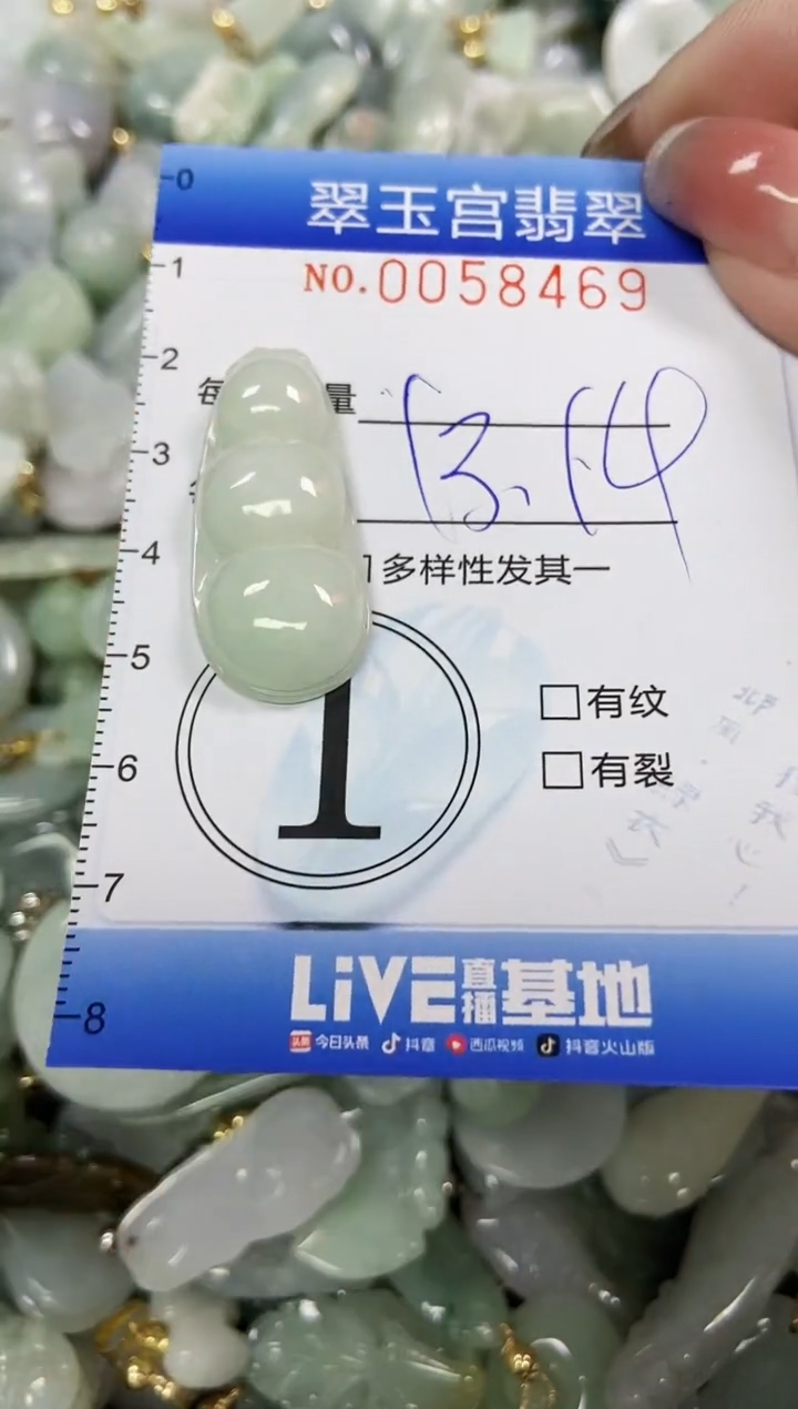 【闪购商品】翡翠颈饰未镶嵌闪购0058469