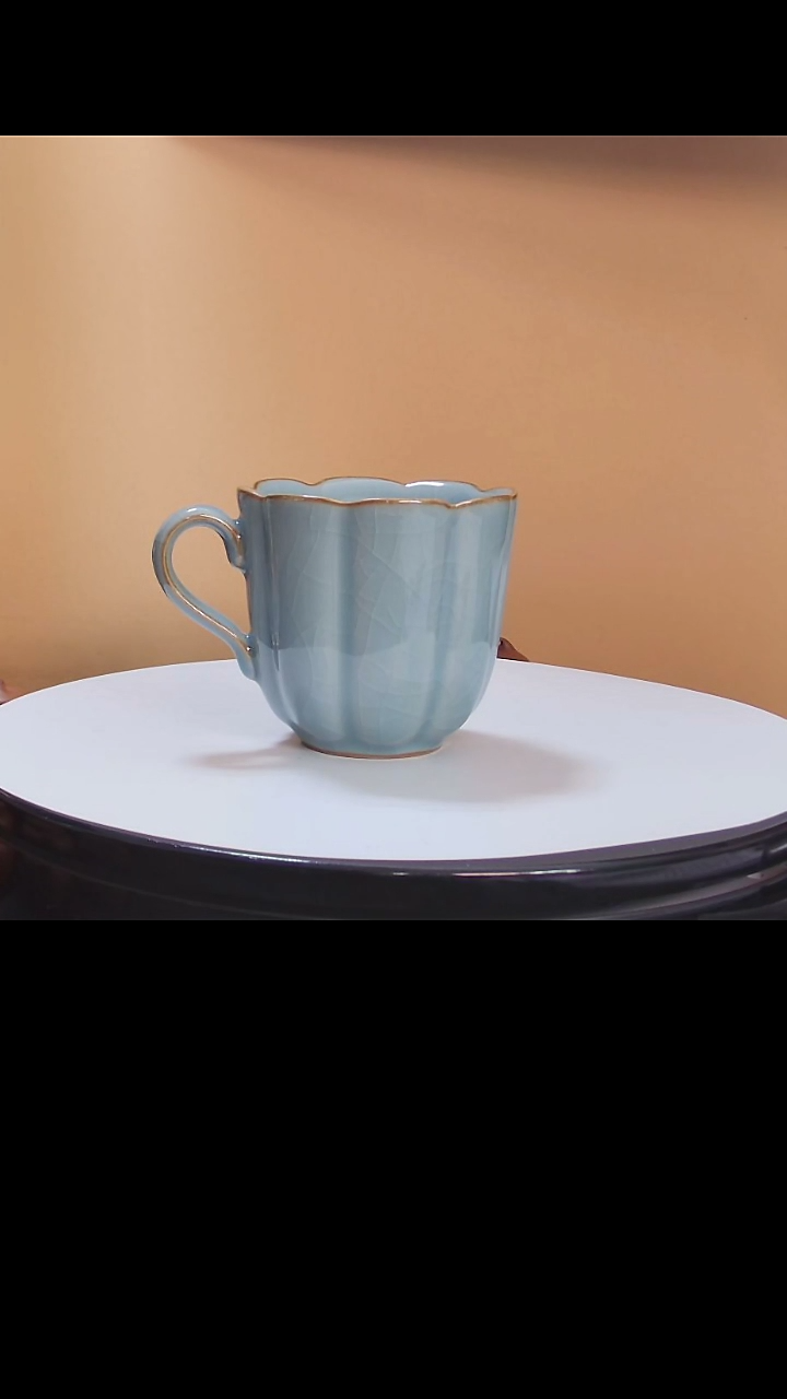 【闪购商品】咖啡杯天琅咖啡杯礼盒装