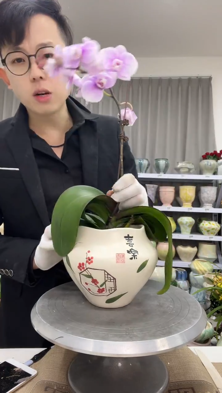 【12.30】花盆链接 高：14  口：11