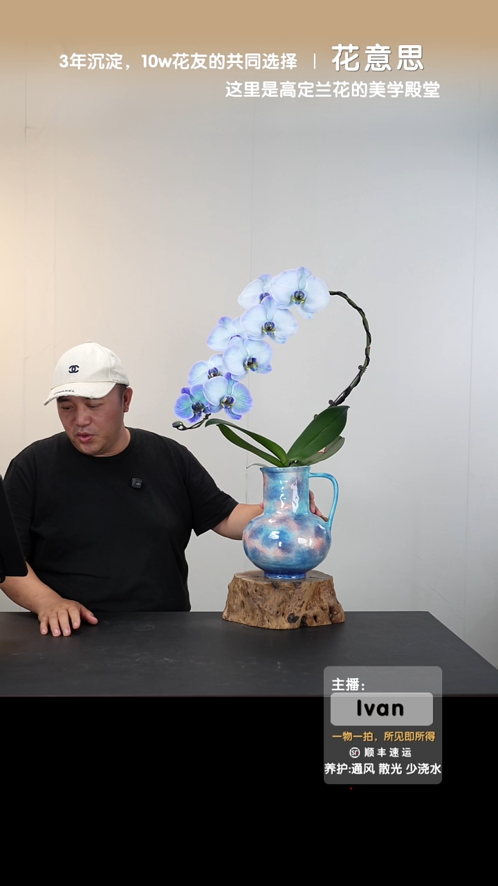 全部花朵012号链接【一物一拍】艺术盆景