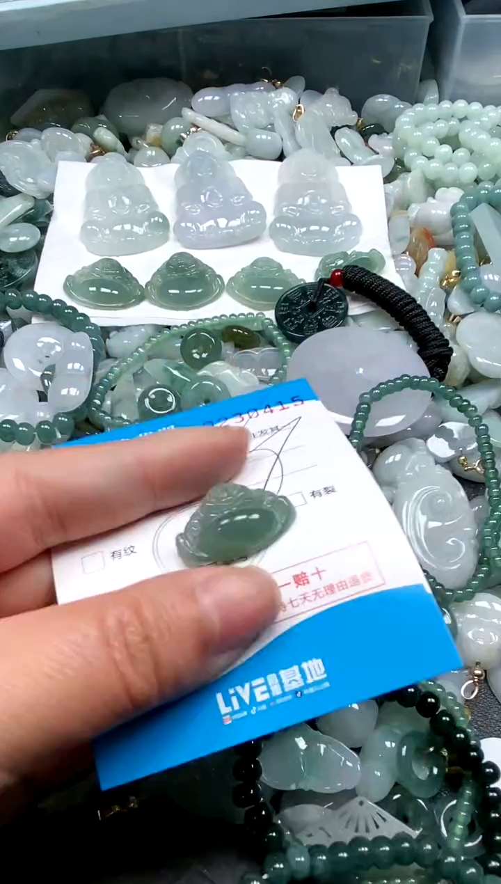 【闪购商品】翡翠颈饰未镶嵌闪购商品0230415