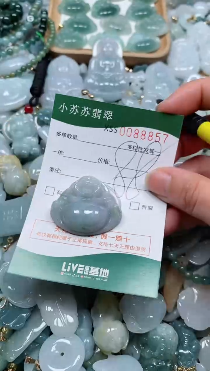 【闪购商品】翡翠颈饰未镶嵌闪购商品0088857