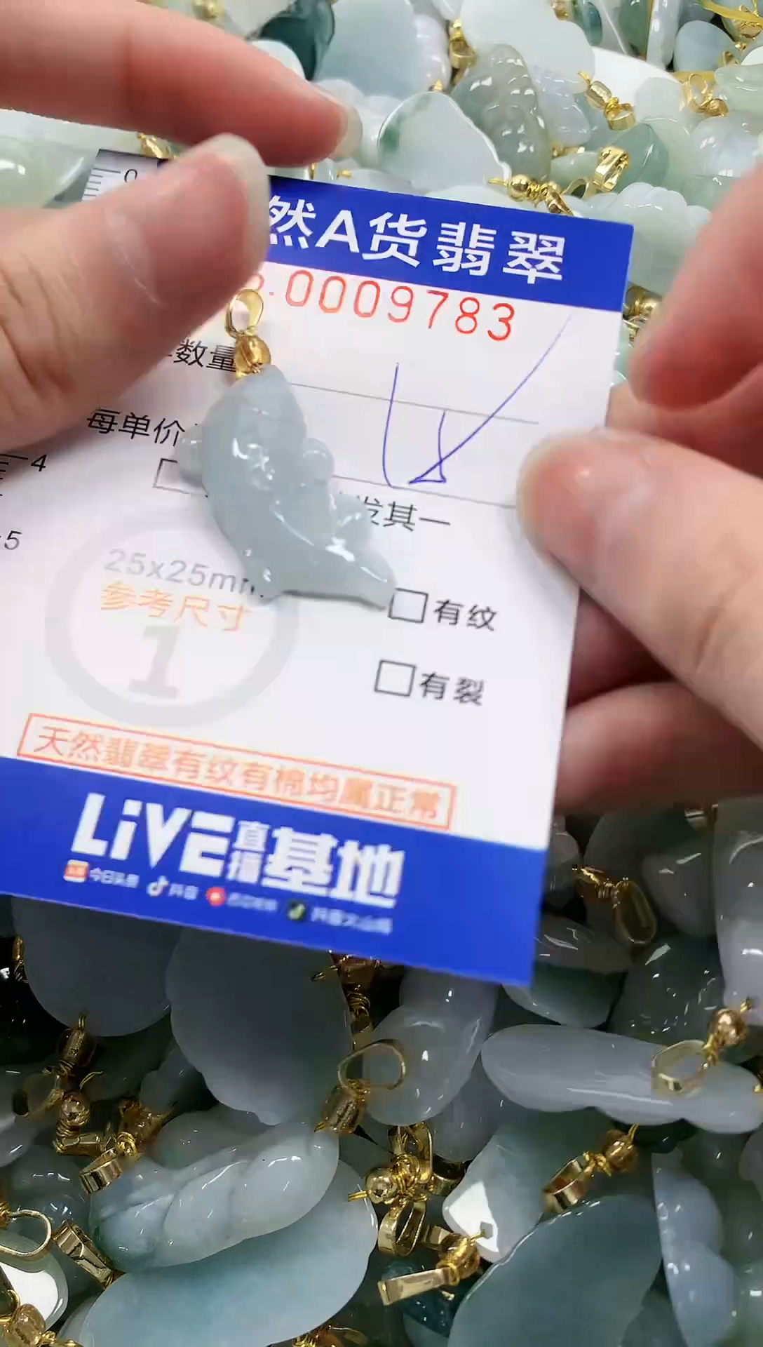 颈饰未镶嵌翡翠纯天然a货翡翠