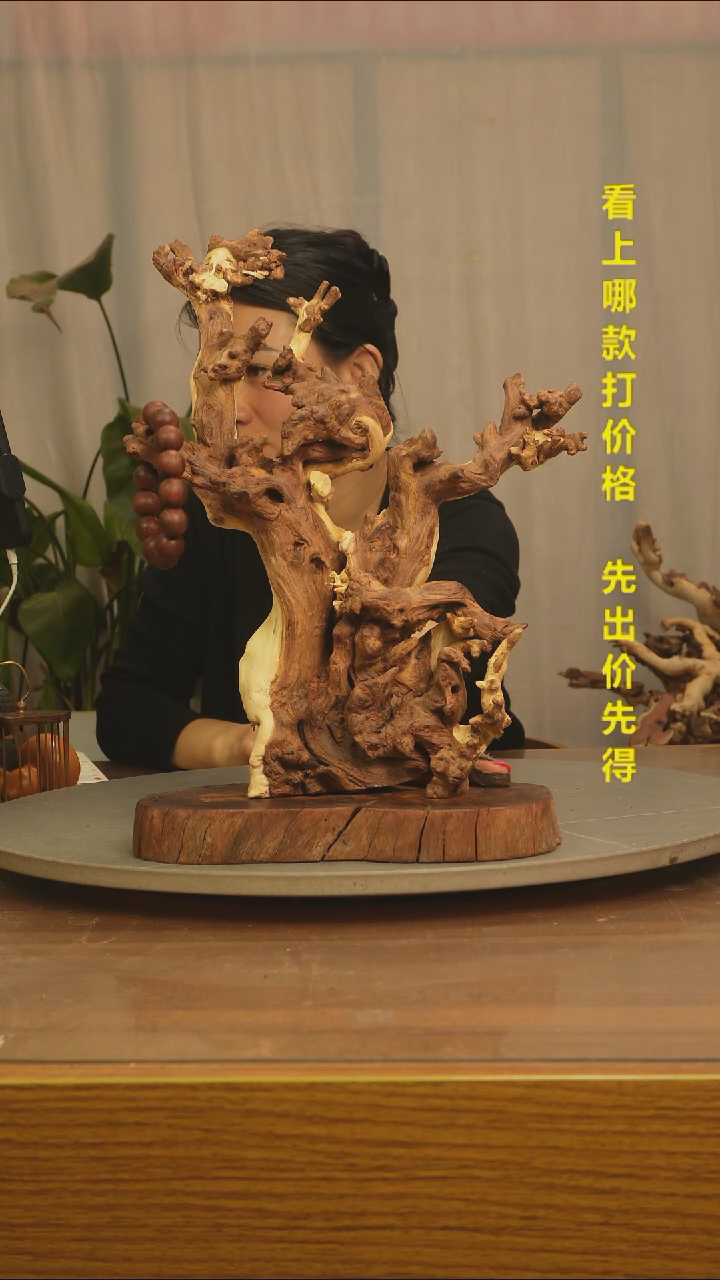 木范***生云南红河金丝红039