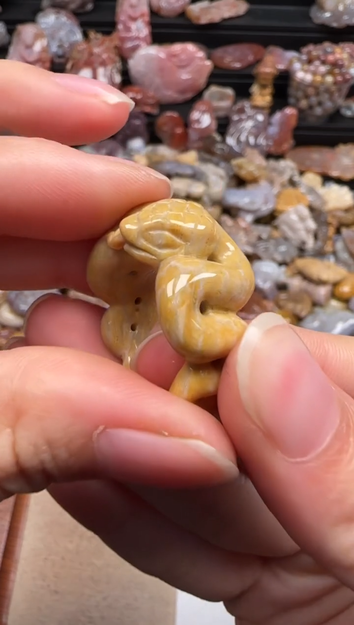 【闪购商品】硅化珊瑚（珊瑚玉）颈饰未镶嵌631