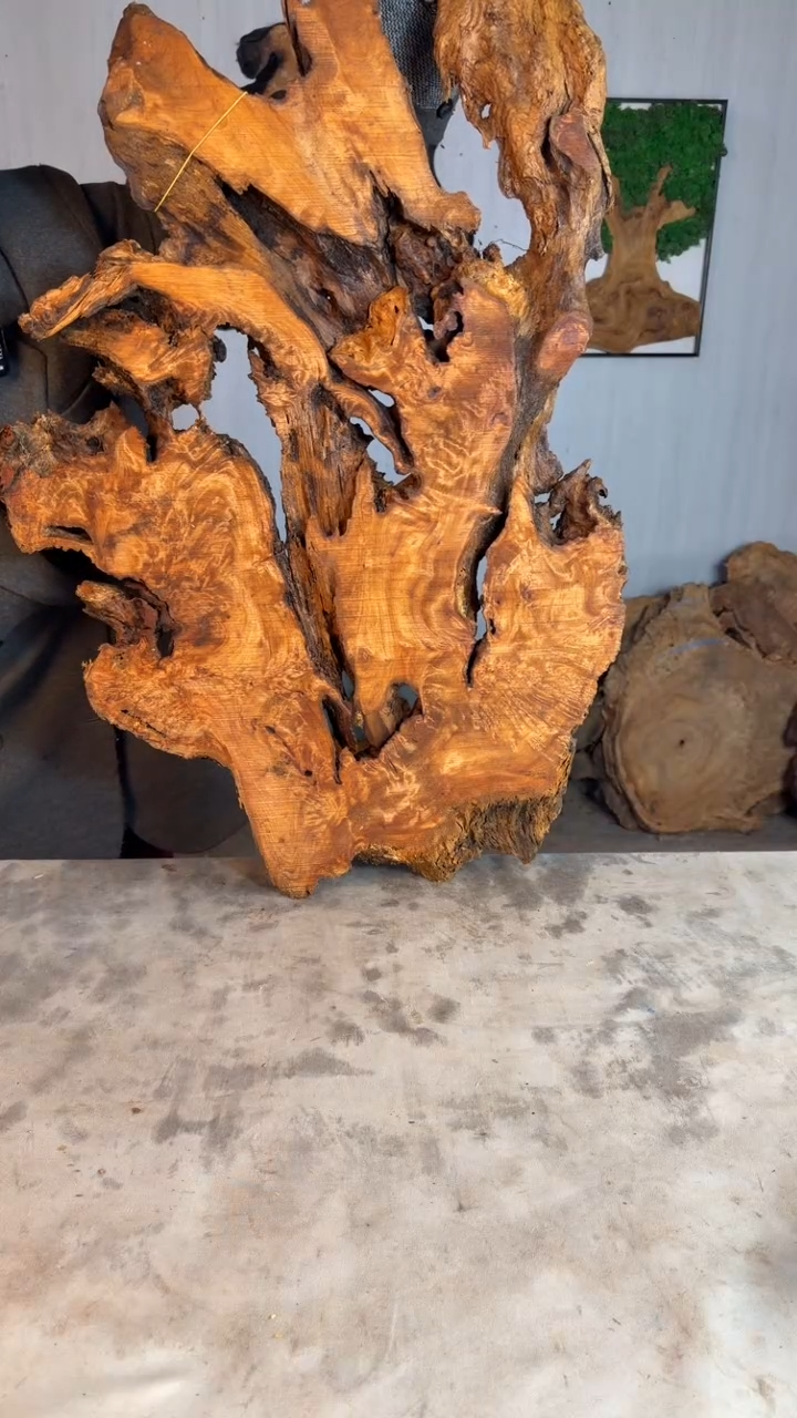 香杉木木头款杉木瘤挂件【原料】006