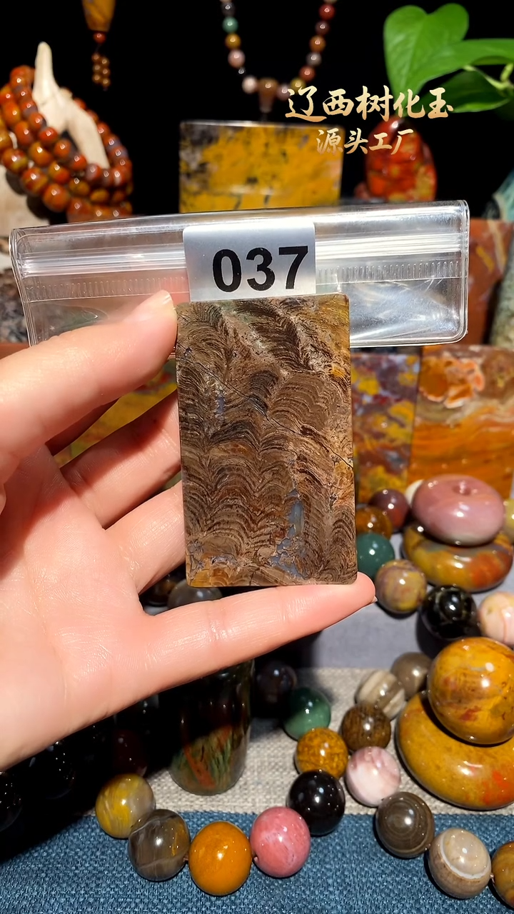 未镶嵌-硅化玉天然北票硅化玉吊坠