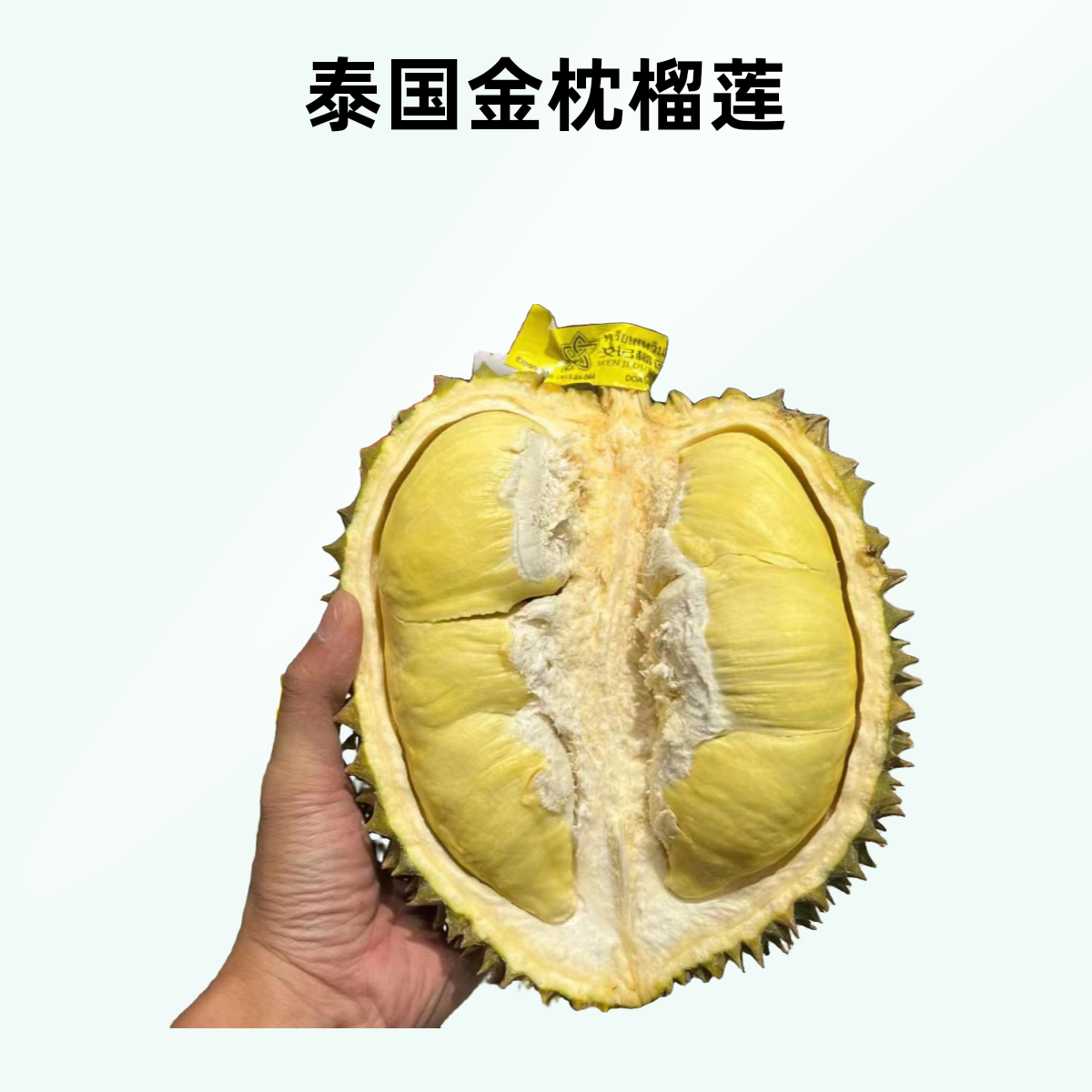 快递（6）泰国金枕 核小一物一拍3-10 鲜榴莲KG金枕泰国