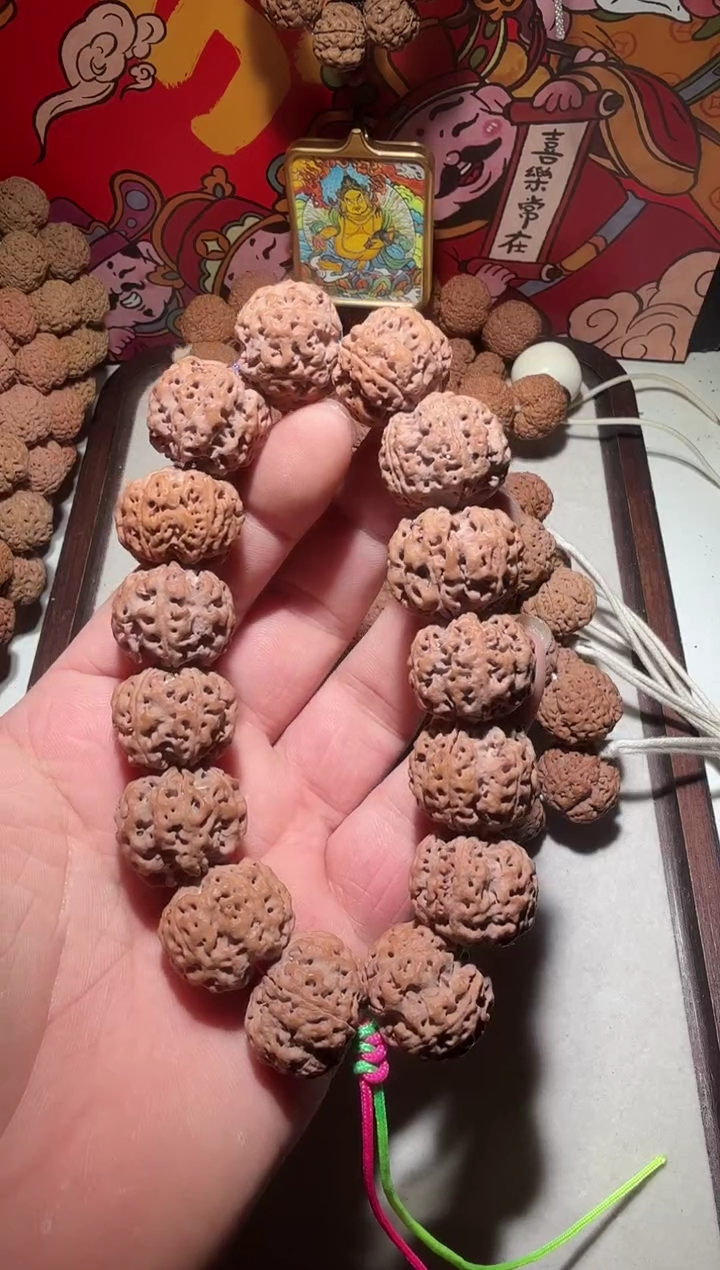 【闪购商品】金刚菩提手串平头五星双龙22