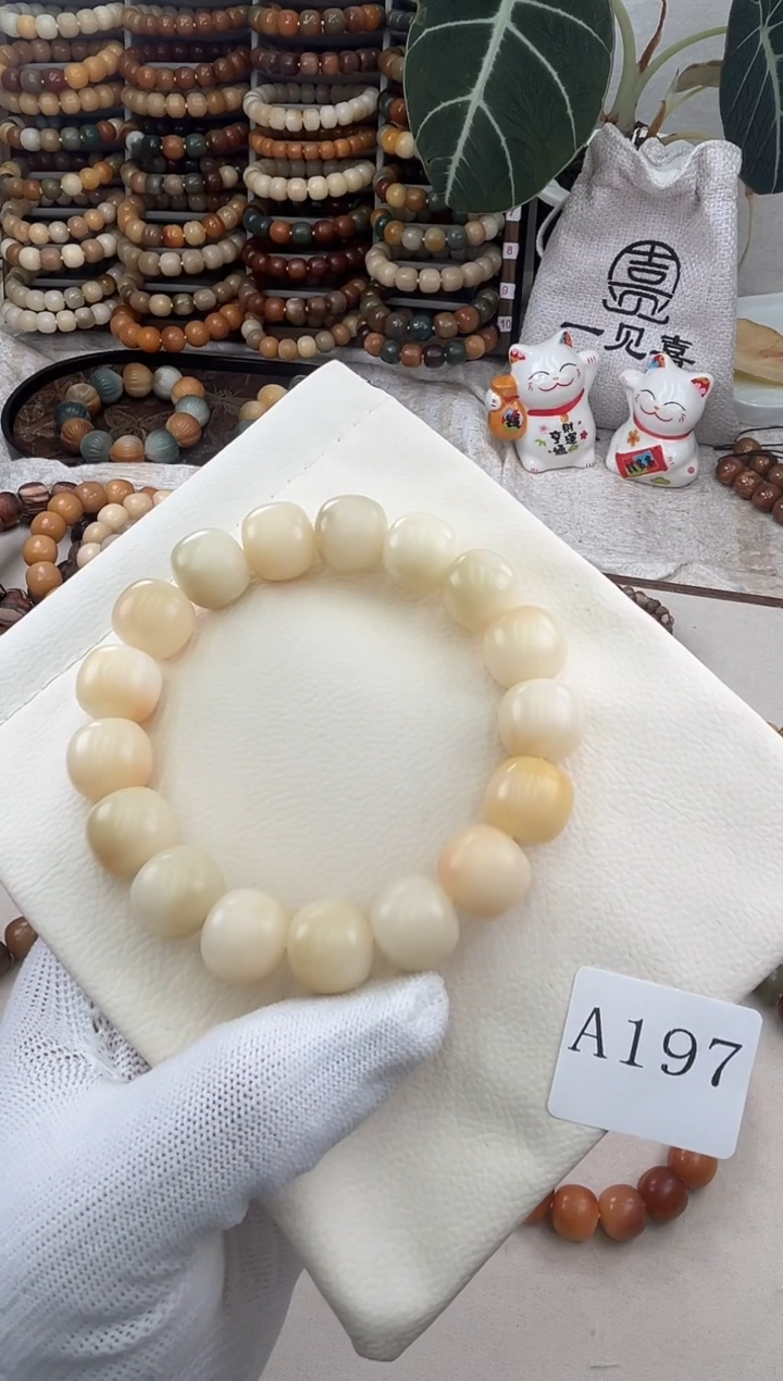 菩提根/象牙果手串a197卡15 干磨