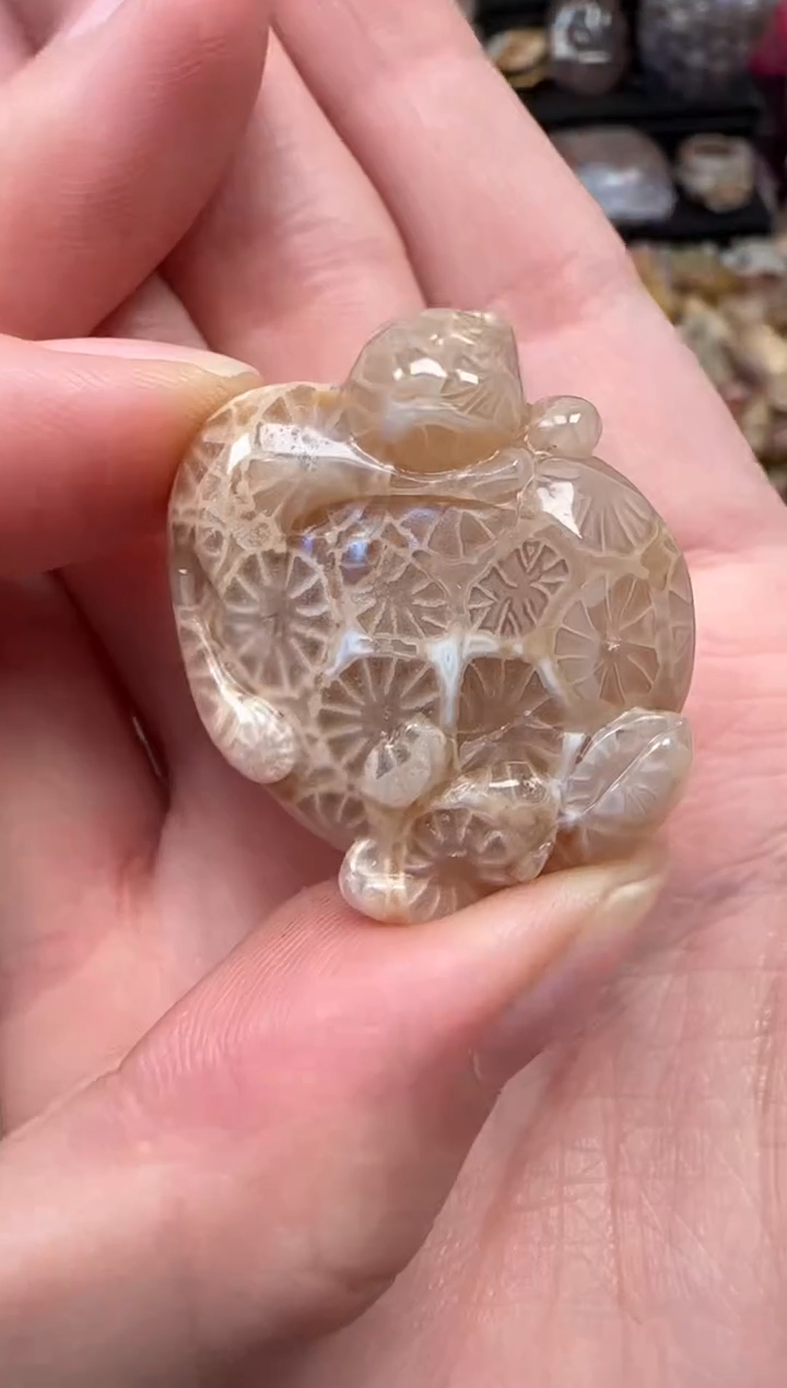 颈饰未镶嵌硅化珊瑚（珊瑚玉）690