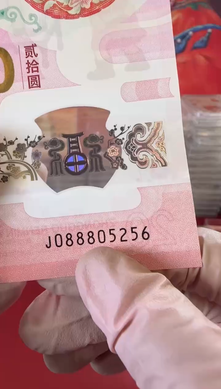 【闪购商品】塑料2025蛇钞单张裸088805256