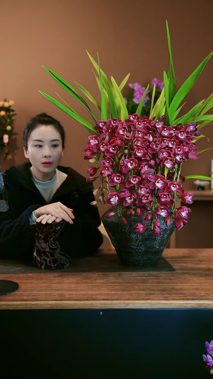【闪购商品】盆景紫葡萄 黑