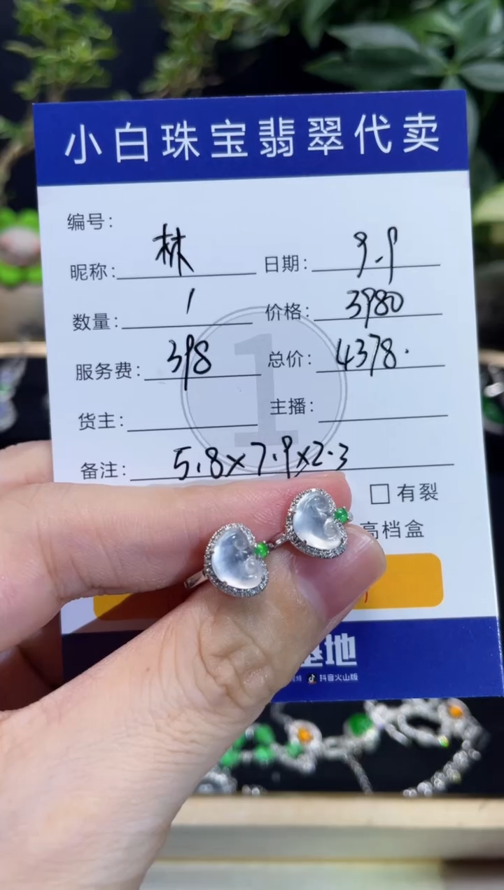 吊坠(不含链)未镶嵌翡翠林*耳饰