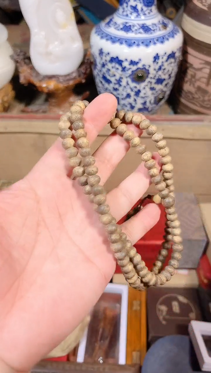 黄杨木1111111111111111